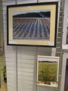 Expo photo Saint-Barthélemy en 2017