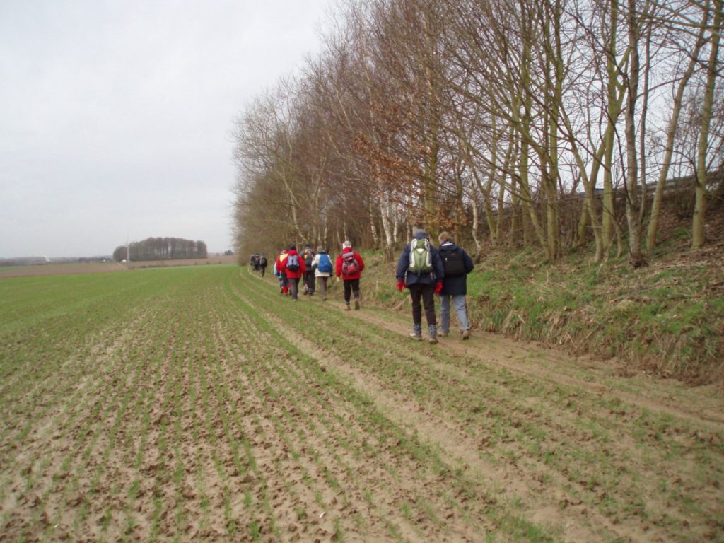 La drève Bousval à Baisy-Thy (chemin n° 1), en contrebas de la RN 25