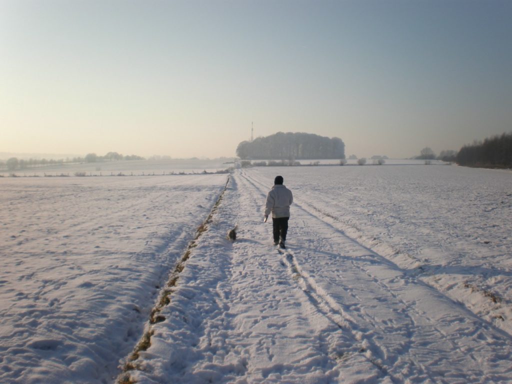 La drève Bousval sur son tracé ancestral à travers champs (et sous la neige)