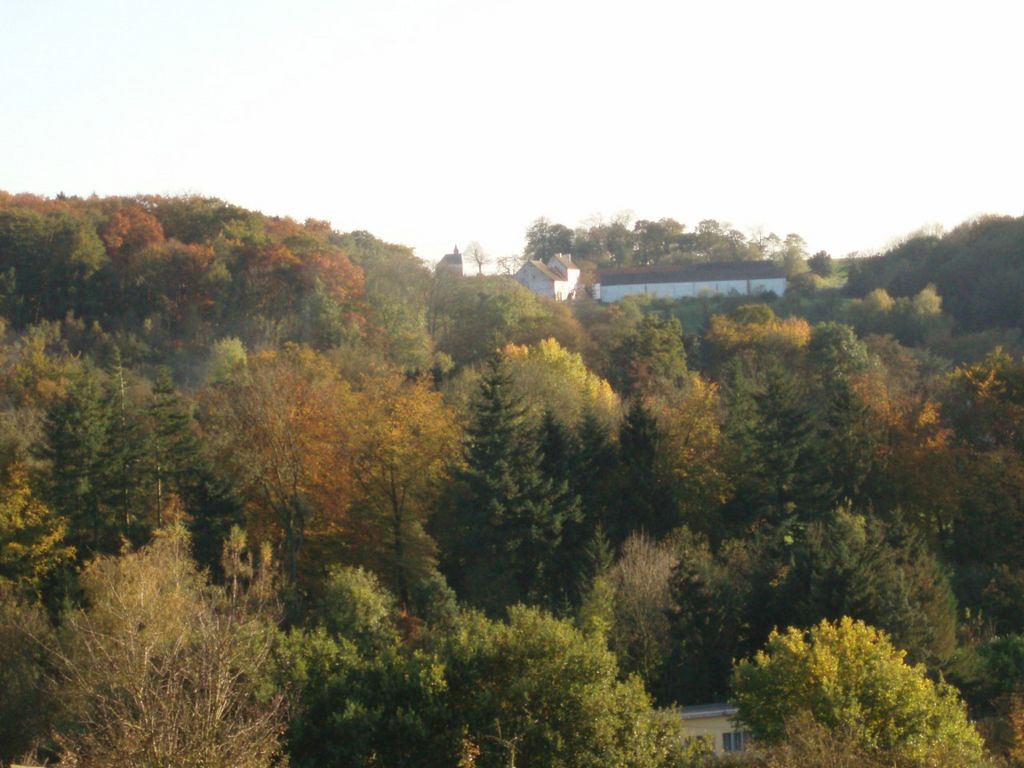 Le Try-au-Chêne, sa chapelle et la ferme de la Baillerie vu du chemin du Bosquet (n° 25) ainsi que les arbres (bois) en avant-plan