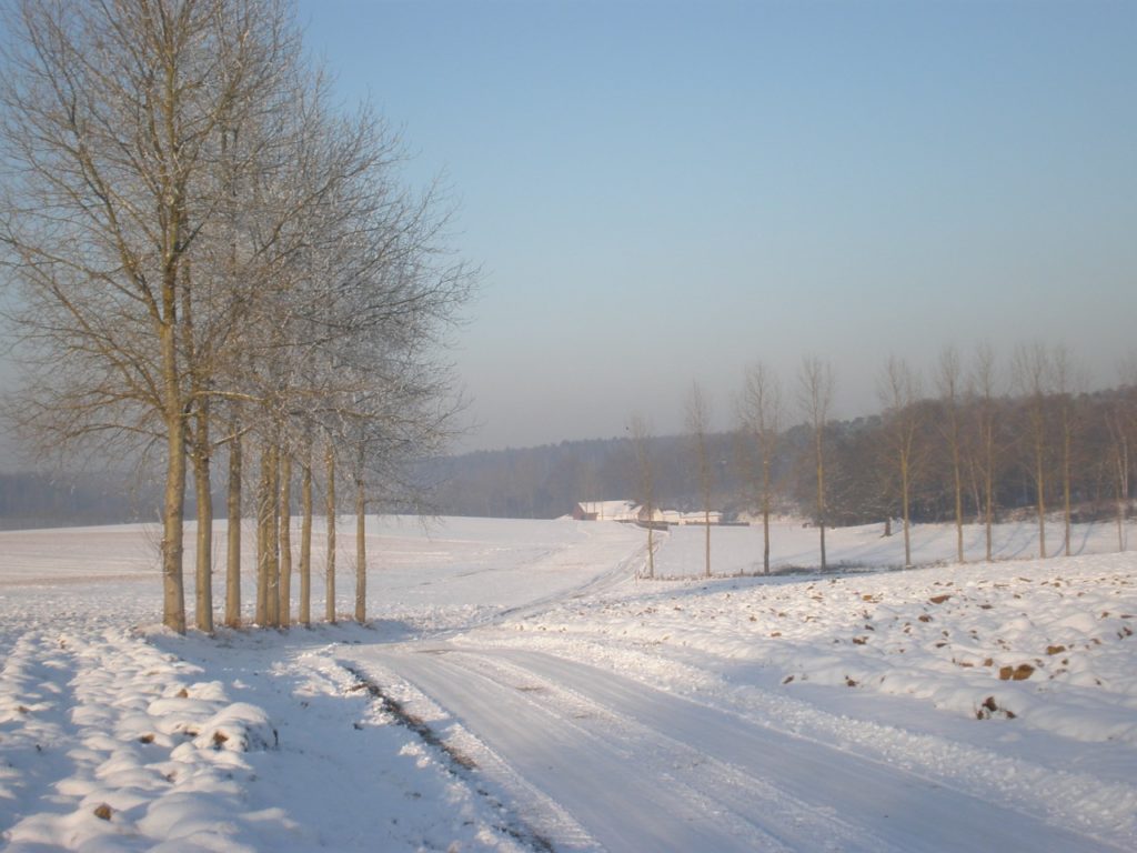 La ferme del Wastez à Baisy-Thy (chemin n° 44)