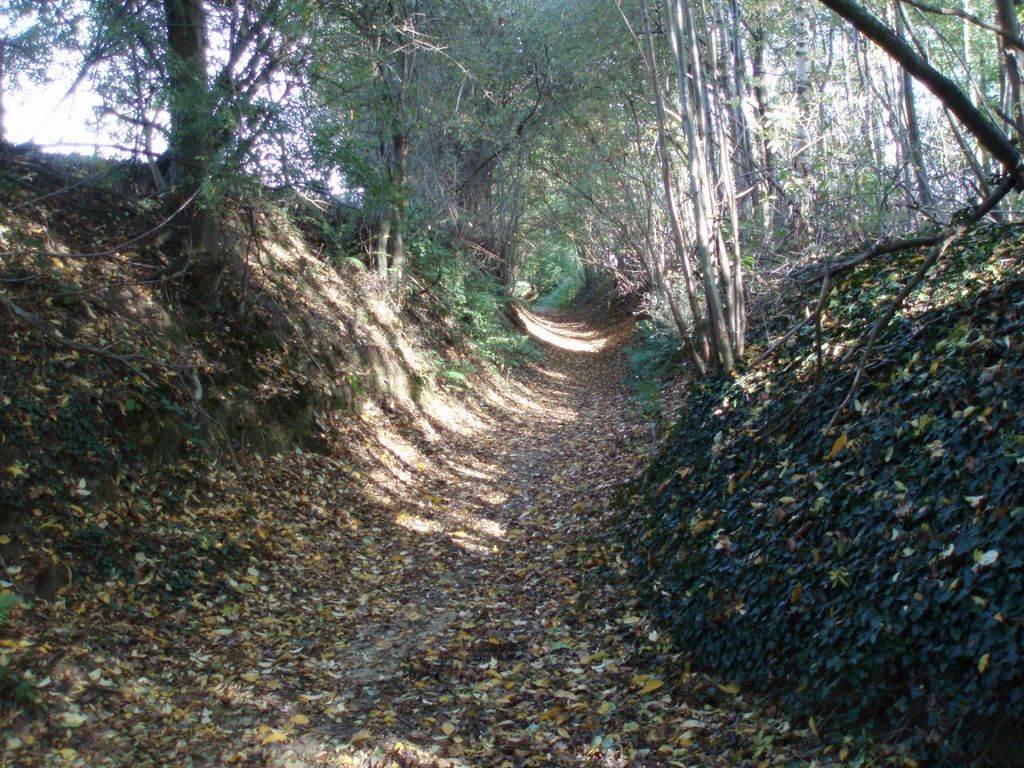 La ruelle Laloux n'est autre qu'un joli chemin creux bordés d'arbres (sentier n° 24 de Bousval).