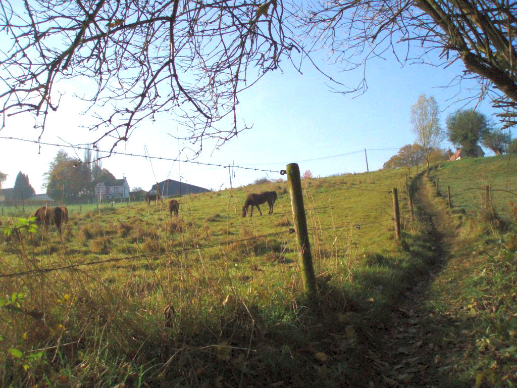 Le sentier Draye (n° 55)