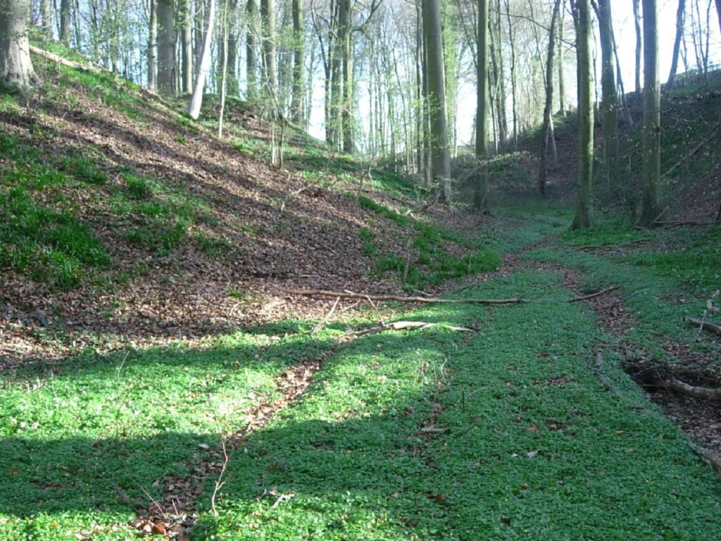 Vallon de Ferrières à Bousval