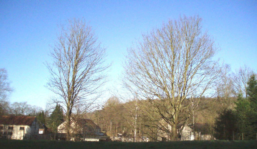 Les anciennes papeteries De Broux à Noirhat