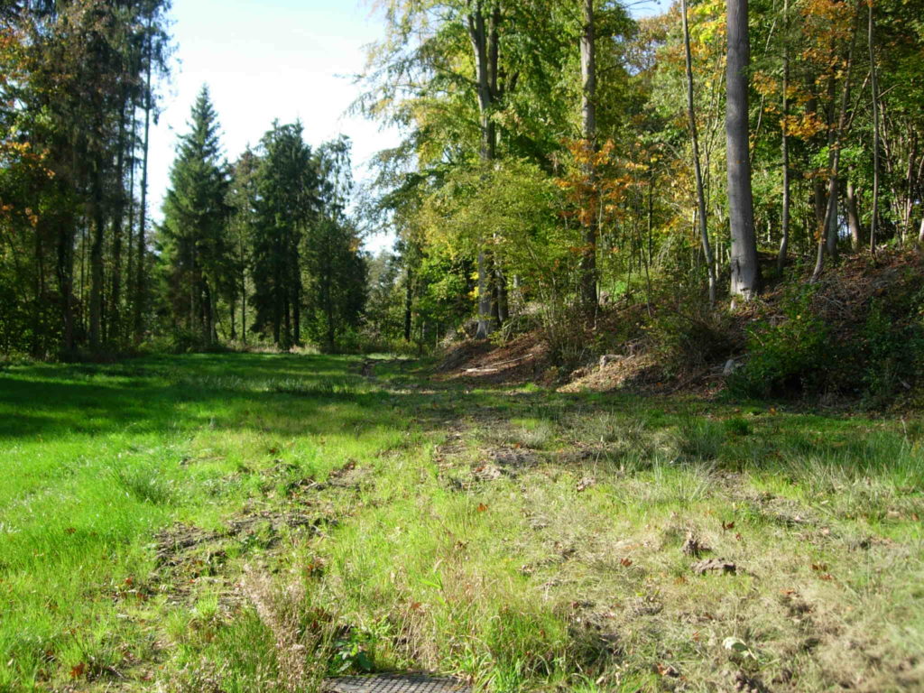 Bois de la Tombe des Romains à Bousval