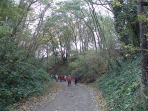 Le chemin des Grands Fossés (n° 13)