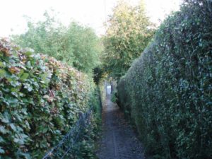 Le sentier François Huys (n° 83) descend vers l'avenue des Combattants