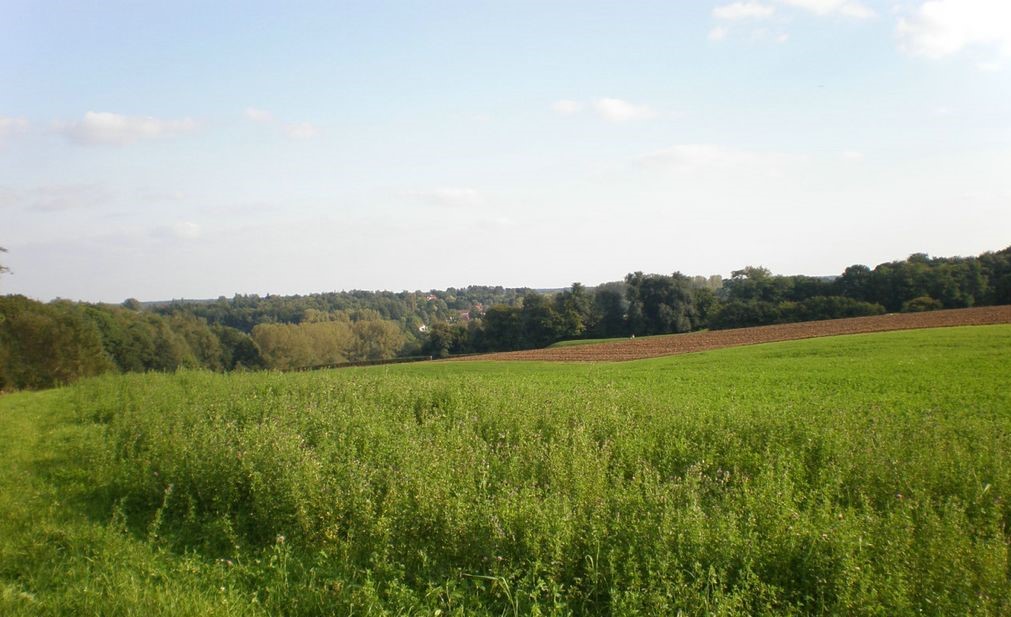 Circuit 3 Promenade du Bois des Conins - bandeau