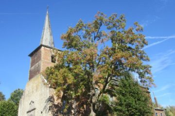 Clocher de l'église de Bousval 2018