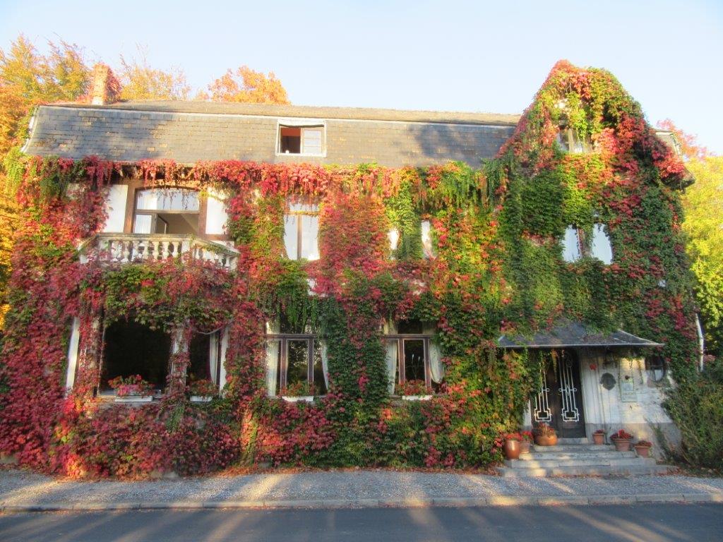 Magnifique façade principale de l'auberge de la Pallande couverte de vigne vierge toute rose et verte (octobre 2018)