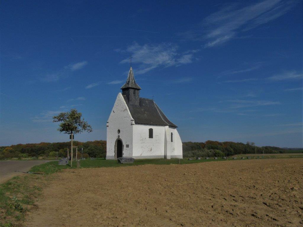 Chapelle du Try-au-Chêne et le champ de Renoussart (2018)
