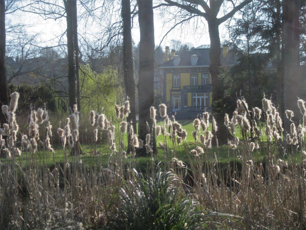 Château De Broux en 2018