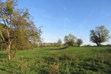 Paysage au Sclage : prairie et forêts