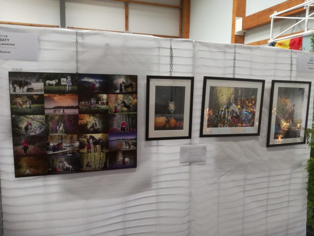 50e Expo artistique 2022 - photographies de Laurence Baty