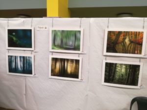 50e Expo artistique 2022 - photographies de Nathalie Annoye