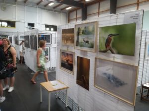 50e Expo artistique 2022 - photographies de Quentin Van Belle