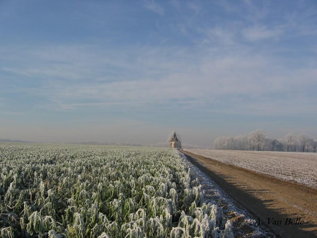 Photo du plateau du Try-au-Chêne en hiver prise par André Van Belle