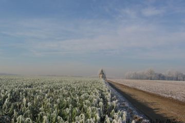 Photo du plateau du Try-au-Chêne en hiver prise par André Van Belle