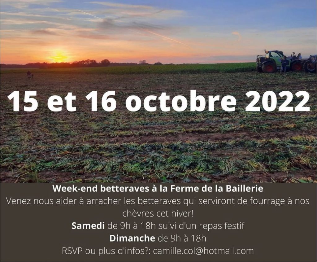 Affiche "week-end récolte betteraves" les 15 et 16 octobre 2022 à la Baillerie