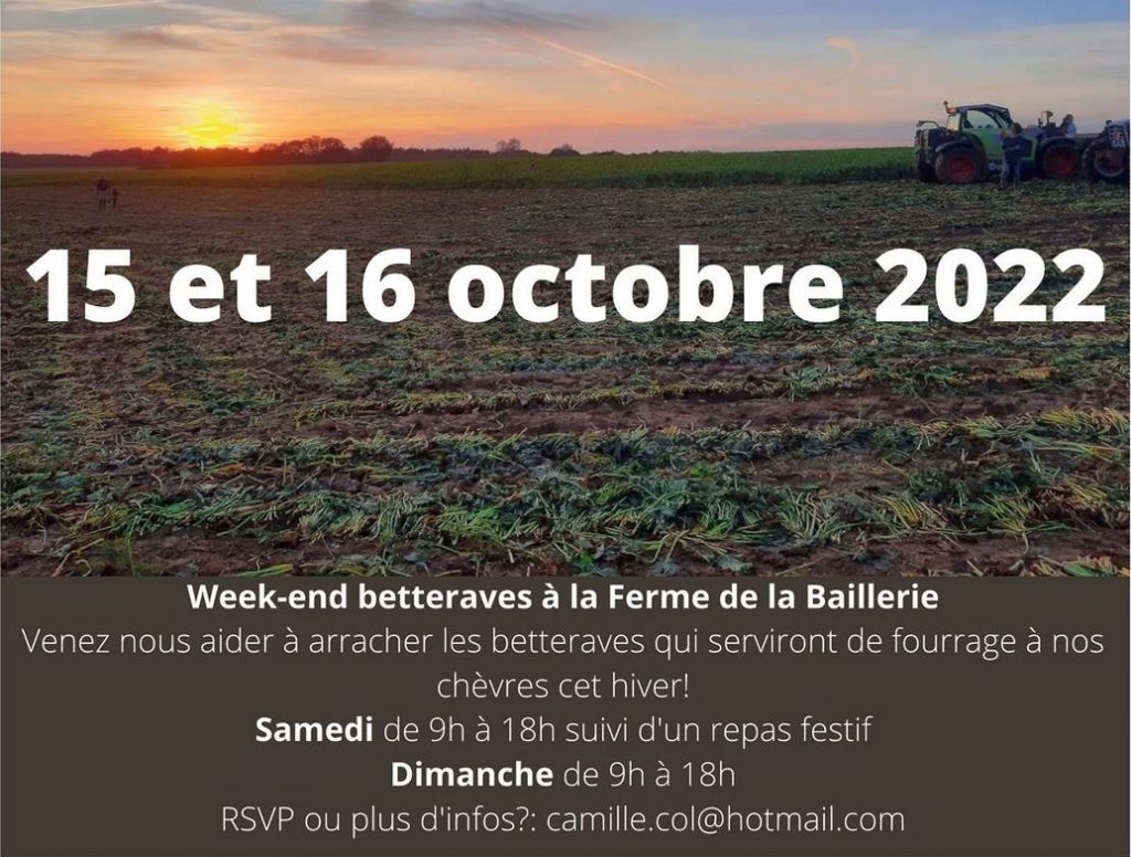 Affiche "week-end récolte betteraves" les 15 et 16 octobre 2022 à la Baillerie