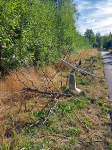 Land Art 2022 n° 5 : "Végéaction", oeuvre de Frédérick Raysz