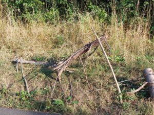 Land Art 2022 n° 5 : "Végéaction", oeuvre de Frédérick Raysz