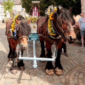 Saint-Barthélemy 2022 : les chevaux attendent le départ du Tour devant le porche de l'église