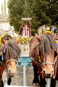 Saint-Barthélemy 2022 : la statue tirée par 2 chevaux brabançons