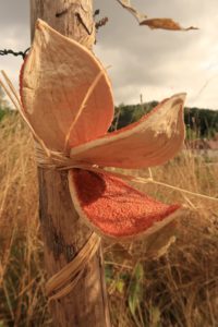 Land Art 2022 n°6 : "Formes et Nature" - Gros plan