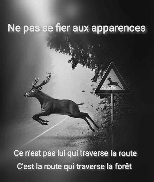 Affiche de signalisation de traversée d'animaux