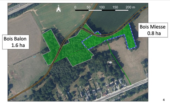 Carte du Bois Miesse