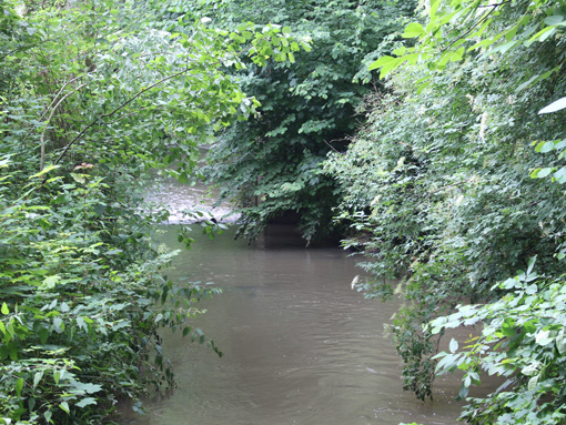 La Dyle près de la vanne de dérivation