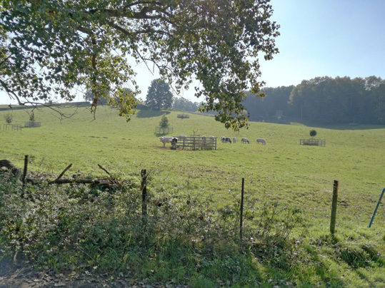 Vue depuis le sentier 75